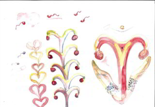 Ginekološka ambulanta - clinical