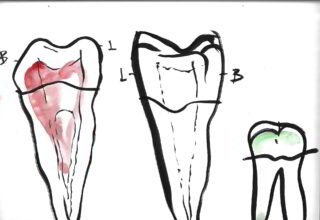 Zobna ambulanta dobrozob